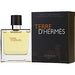 TERRE D'HERMES by Hermes-PARFUM SPRAY 2.5 OZ - BigSun