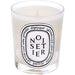 DIPTYQUE NOISETIER by Diptyque-SCENTED CANDLE 6.5 OZ - BigSun