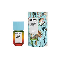 LOEWE PAULA'S IBIZA by Loewe-EDT SPRAY 1.7 OZ