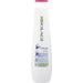 BIOLAGE by Matrix-COLORLAST PURPLE SHAMPOO 13.5 - BigSun