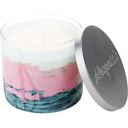 AEROPOSTALE MAGNOLIA & GRAPEFRUIT by Aeropostale - SCENTED CANDLE 14.5 OZ