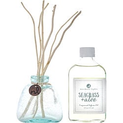 SEAGRASS & ALOE by Northern Lights-FRAGRANCE DIFFUSER OIL 6 OZ & 6X WILLOW REEDS & DIFFUSER BOTTLE