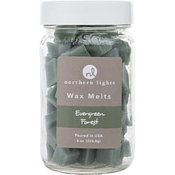 EVERGREEN FOREST by Northern Lights-SIMMERING FRAGRANCE CHIPS - 8 OZ JAR CONTAINING 100 MELTS