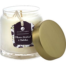 PLUM ORCHID & DAHLIA by Northern Lights-SCENTED SOY GLASS CANDLE 10 OZ