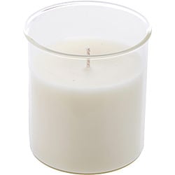 GINGER TEA & LEMON by Northern Lights-ESQUE CANDLE INSERT 9 OZ