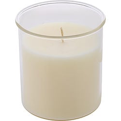 CANDIED CINNAMON by Northern Lights-ESQUE CANDLE INSERT 9 OZ