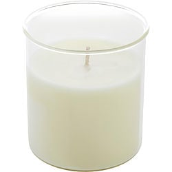 CELESTE FIG & MELON by Northern Lights - ESQUE CANDLE INSERT 9 OZ