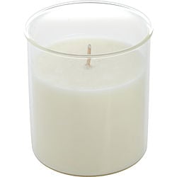 LAVENDER & HONEY by Northern Lights-ESQUE CANDLE INSERT 9 OZ