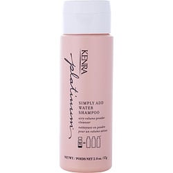 KENRA by Kenra - PLATINUM SIMPLY ADD WATER SHAMPOO 2 OZ