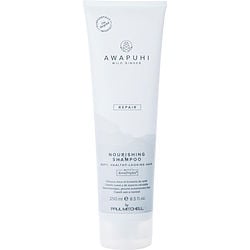 PAUL MITCHELL by Paul Mitchell - PAUL MITCHELL AWAPUHI WILD GINGER NOURISHING SHAMPOO 8.5 OZ